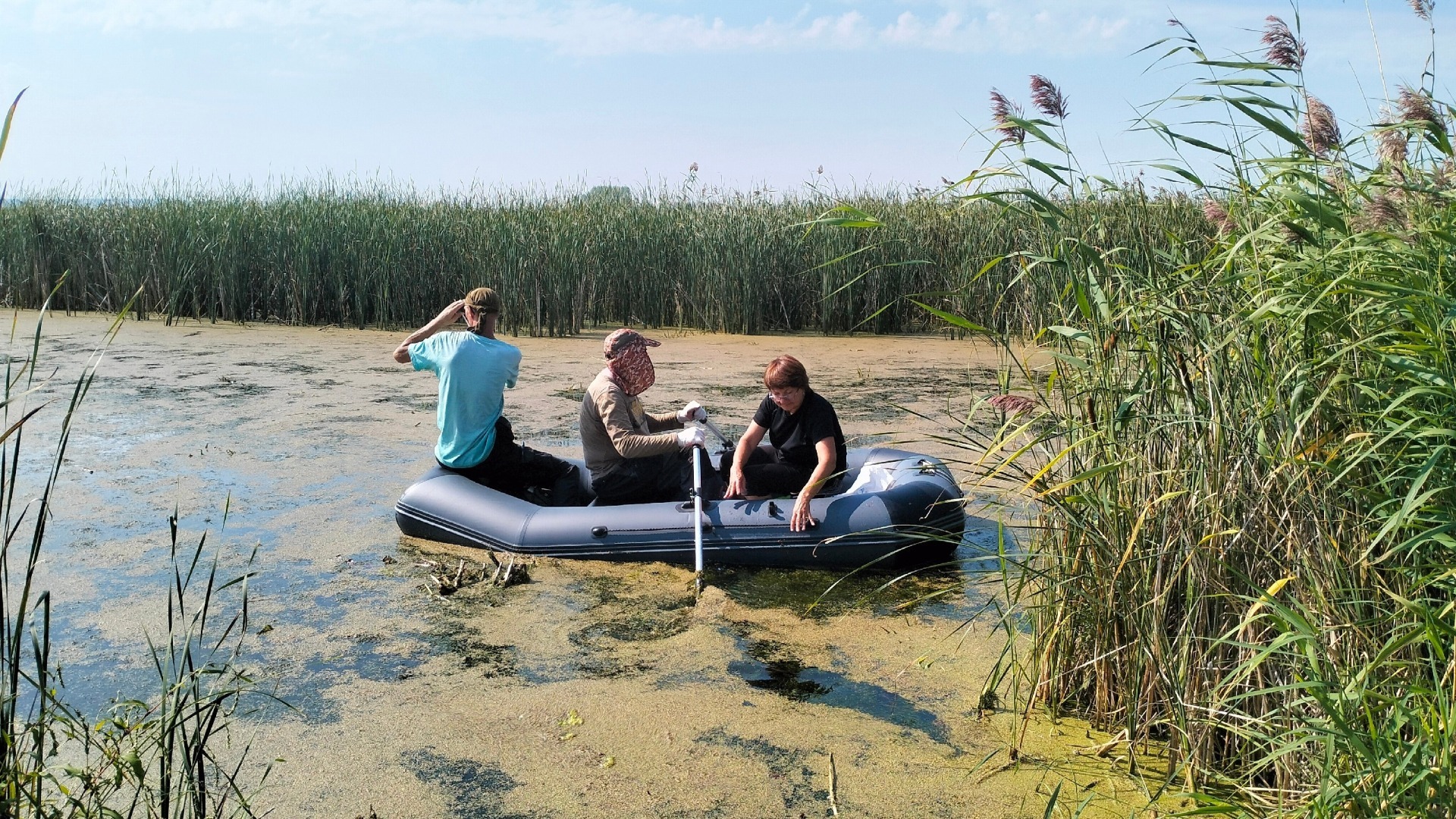 Экологи берут пробы воды и проводят первичный осмотр состояния прибрежной зоны Шершневского водохранилища