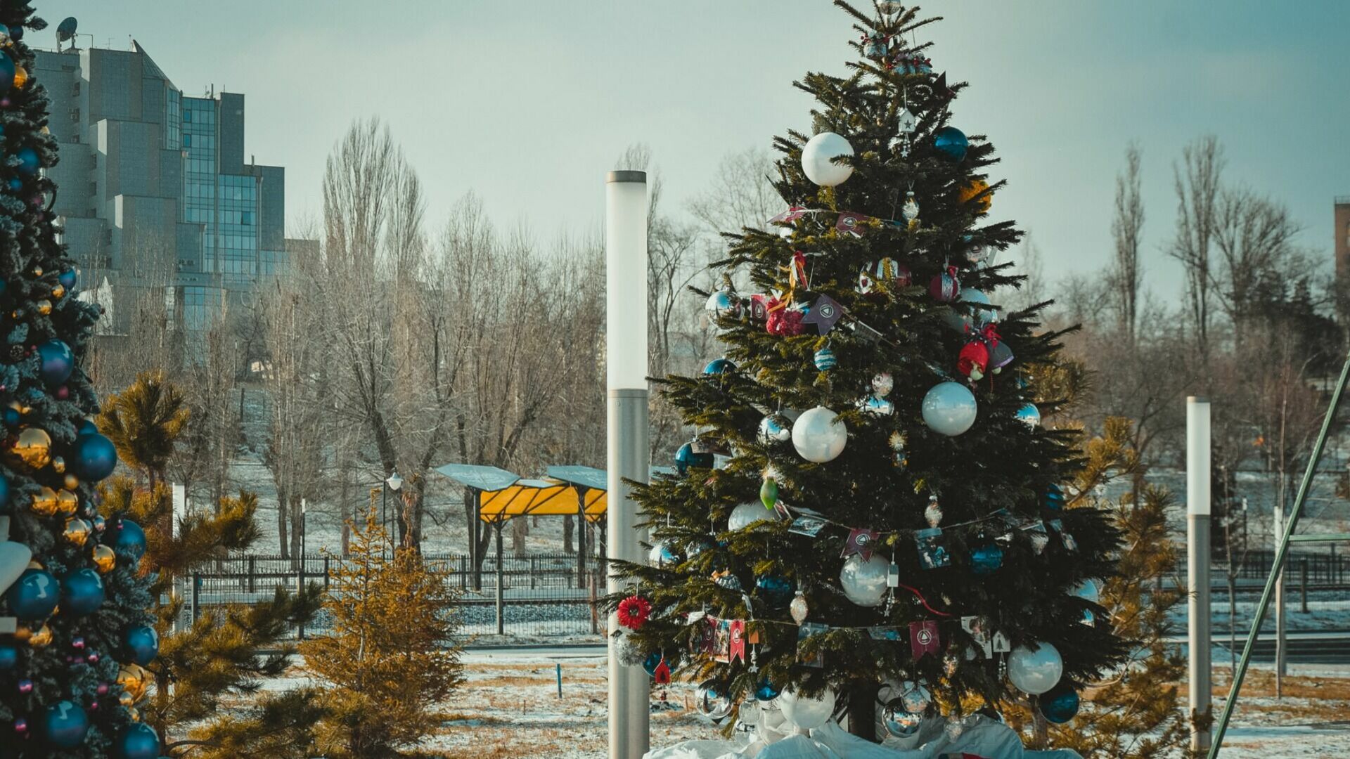Елочные базары открылись в Челябинске 12 декабря