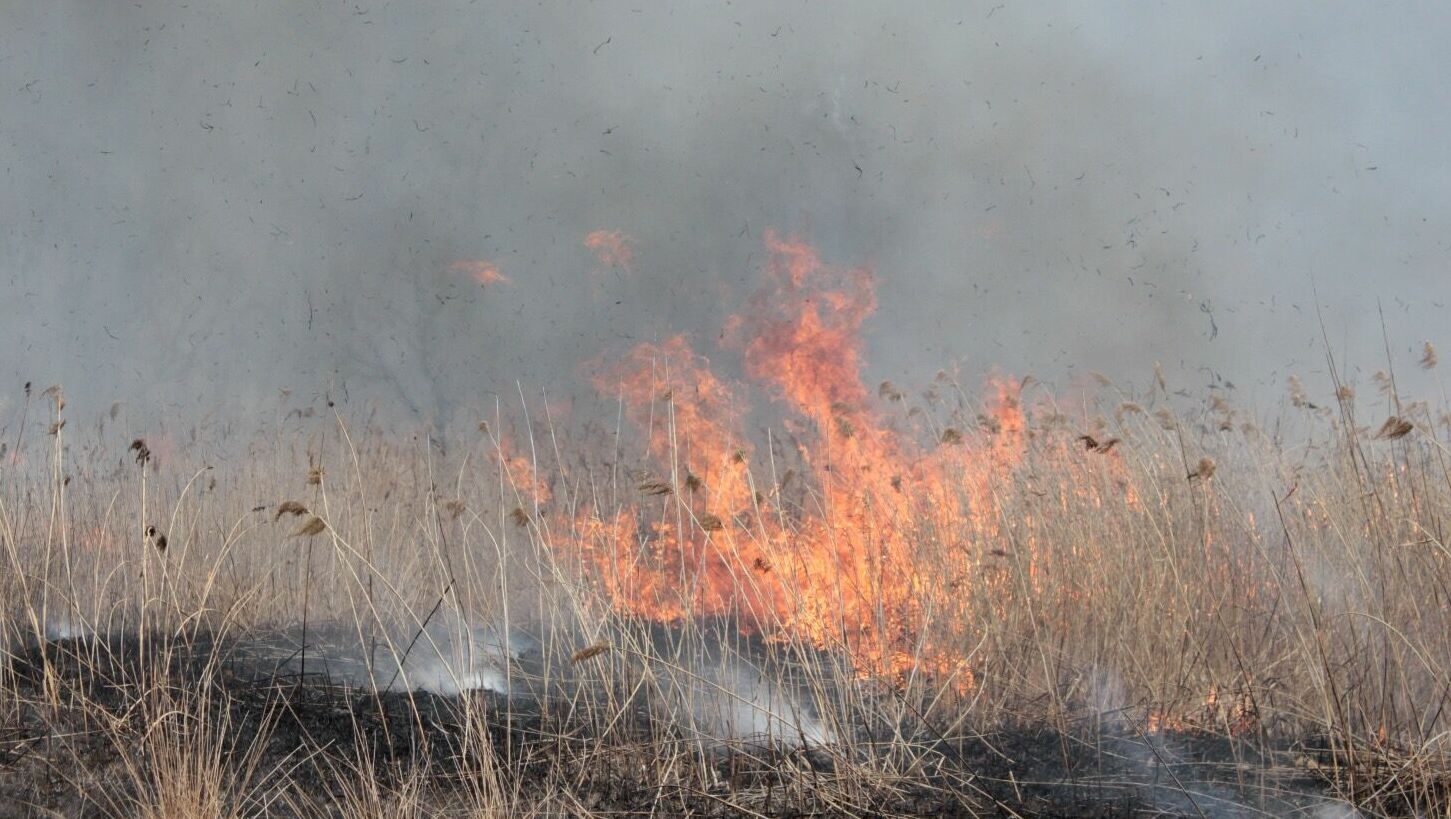 Волонтеров для тушения пожара в нацпарке набирают в Челябинской области